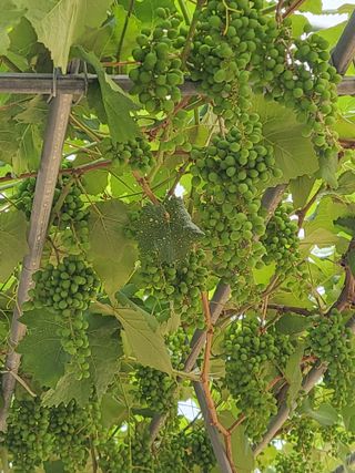 최상희님의 자유주제 · 자유게시판 작성글 사진