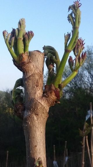 알 수 없음님의 자유주제 · 자유게시판 작성글 사진