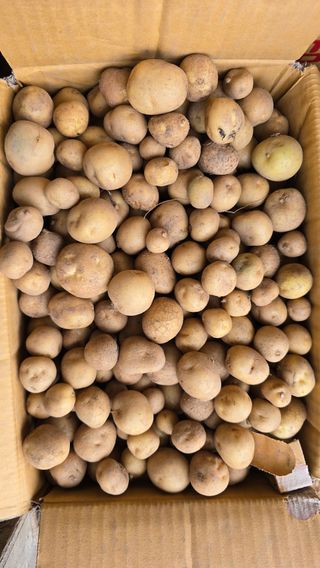 황규복(달구지)님의 자유주제 · 자유게시판 작성글 사진