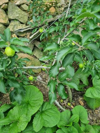 김용대님의 자유주제 · 자유게시판 작성글 사진