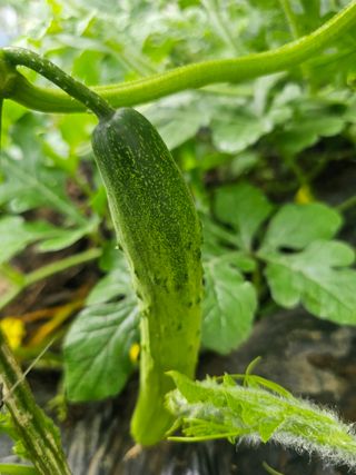 farmer님의 자유주제 · 자유게시판 작성글 사진