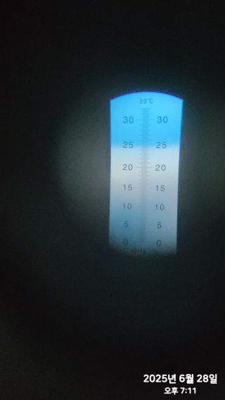 동우농장(김대욱)님의 복숭아 · 자유게시판 작성글 사진