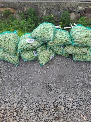 장세만 님의 작성글 사진