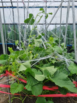 연산나무농장님의 자유주제 · 자유게시판 작성글 사진