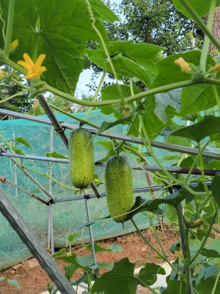 원빈님의 자유주제 · 칭찬해요 작성글 사진