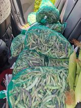 팜모닝 · 게시글 이미지