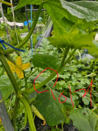 farmer님의 자유주제 · 자유게시판 작성글 사진