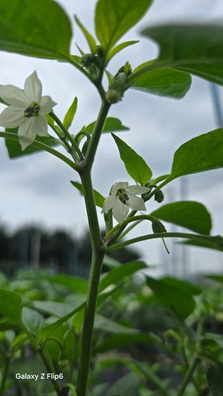 차상만님의 자유주제 · 자유게시판 작성글 사진