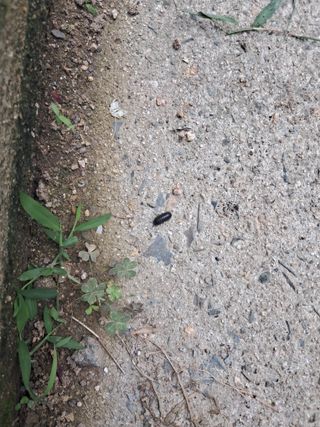 살구장수님의 자유주제 · 자유게시판 작성글 사진