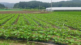 강원도 횡성군님의 자유주제 · 자유게시판 작성글 사진