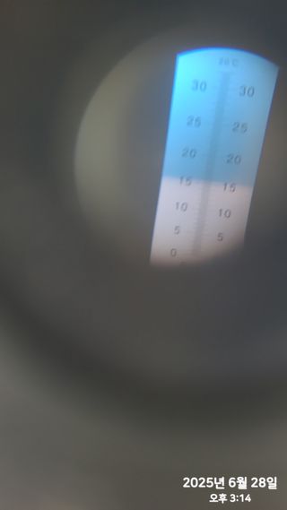 동우농장(김대욱)님의 복숭아 · 자유게시판 작성글 사진