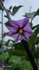 팜모닝 자유주제·자유게시판 게시글 이미지