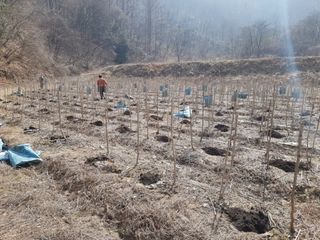 알 수 없음님의 자유주제 · 자유게시판 작성글 사진