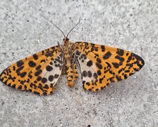 MSG0074님의 자유주제 · 자유게시판 작성글 사진