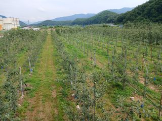 알 수 없음님의 자유주제 · 자유게시판 작성글 사진