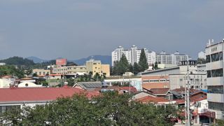 MSG0074님의 자유주제 · 자유게시판 작성글 사진