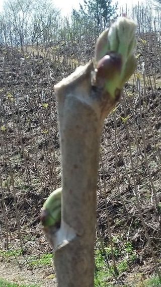 알 수 없음님의 자유주제 · 자유게시판 작성글 사진