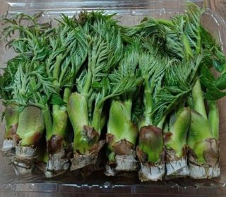 알 수 없음님의 자유주제 · 자유게시판 작성글 사진