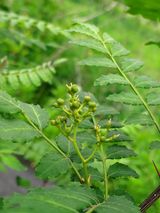 팜모닝 자유주제·자유게시판 게시글 이미지