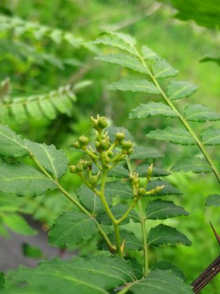 몽자아빠님의 자유주제 · 자유게시판 작성글 사진