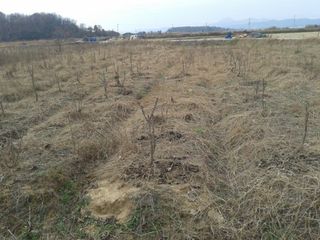 알 수 없음님의 자유주제 · 자유게시판 작성글 사진