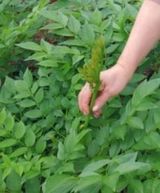 팜모닝 자유주제·자유게시판 게시글 이미지