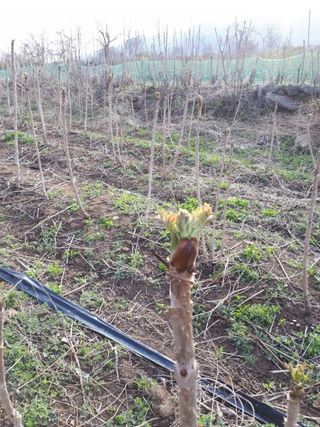 알 수 없음님의 자유주제 · 자유게시판 작성글 사진