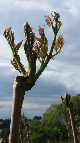 알 수 없음님의 자유주제 · 자유게시판 작성글 사진