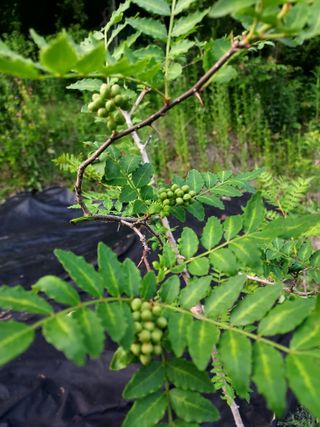 몽자아빠님의 자유주제 · 자유게시판 작성글 사진
