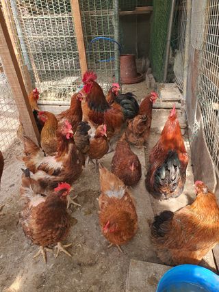 김영복님의 자유주제 · 자유게시판 작성글 사진