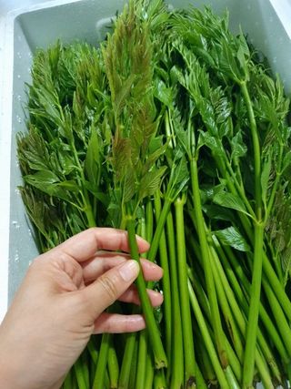 알 수 없음님의 자유주제 · 자유게시판 작성글 사진