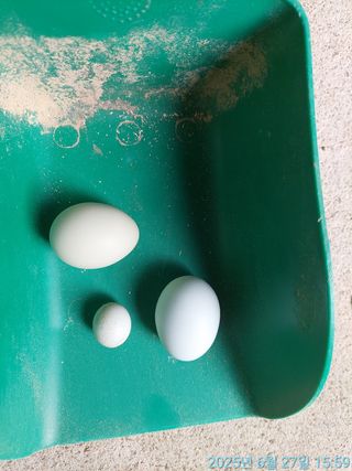 황대헌님의 자유주제 · 자유게시판 작성글 사진