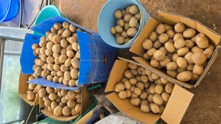 황규복(달구지)님의 자유주제 · 자유게시판 작성글 사진