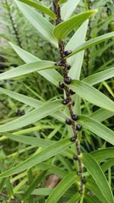 팜모닝 · 게시글 이미지