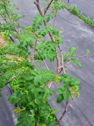 몽자아빠님의 자유주제 · 자유게시판 작성글 사진