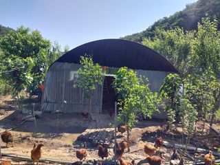 김영복님의 자유주제 · 자유게시판 작성글 사진