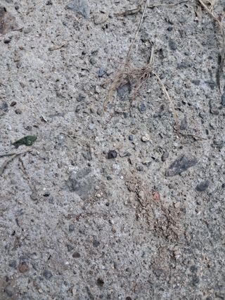 살구장수님의 자유주제 · 자유게시판 작성글 사진