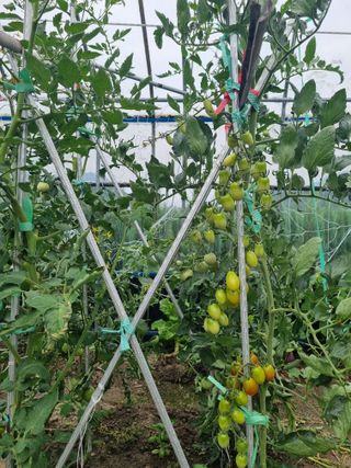 연산나무농장님의 자유주제 · 자유게시판 작성글 사진