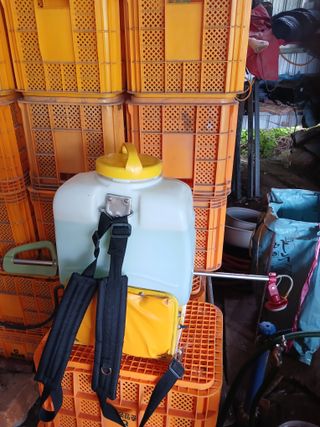 알 수 없음님의 자유주제 · 자유게시판 작성글 사진