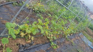 노한수님의 자유주제 · 자유게시판 작성글 사진