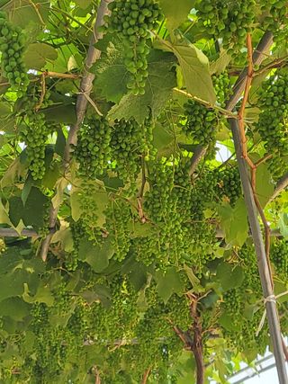 최상희님의 자유주제 · 자유게시판 작성글 사진