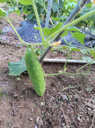 원빈님의 자유주제 · 칭찬해요 작성글 사진