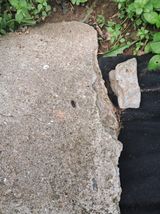 팜모닝 자유주제·자유게시판 게시글 이미지