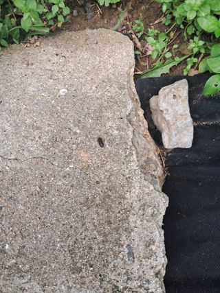 살구장수님의 자유주제 · 자유게시판 작성글 사진