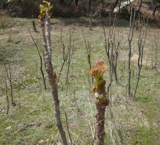 알 수 없음님의 자유주제 · 자유게시판 작성글 사진