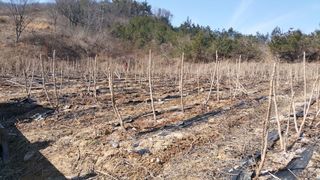 알 수 없음님의 자유주제 · 자유게시판 작성글 사진