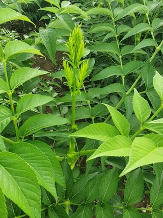 알 수 없음님의 자유주제 · 자유게시판 작성글 사진