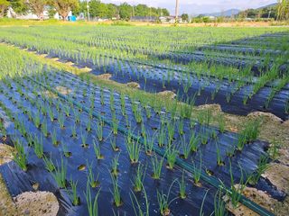 이한용님의 자유주제 · 자유게시판 작성글 사진