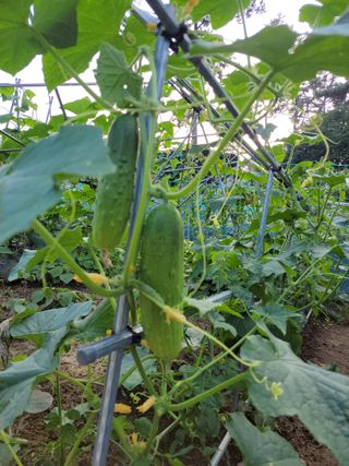 원빈님의 자유주제 · 칭찬해요 작성글 사진