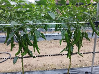 관음손가네님의 자유주제 · 자유게시판 작성글 사진